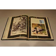 На память: Настольная книга охотника — книга для мужчины — фотография 3