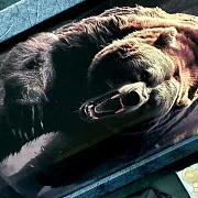 Подарочные нарды под стеклом «Хозяин тайги» — фотография 4