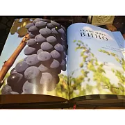 На память: Атлас мира вино в футляре — книга для мужчины — фотография 6